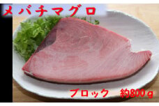 厳選メバチマグロブロック８００ｇ【誉丸】