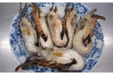 室戸産伊勢海老１ｋｇ【訳あり・ハーフカット】