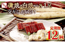 蒲焼き・白焼きを交互にお届け！国産うなぎ１尾【全１２回定期便】 _ うなぎ 鰻 ウナギ 1尾 国産 高知県産 蒲焼き 白焼き かばやき 冷凍 うな重 ひつまぶし タレ ランキング 人気 12回 定期便 頒布会