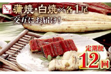 蒲焼き・白焼きを交互にお届け！国産うなぎ１尾【全１２回定期便】 _ うなぎ 鰻 ウナギ 1尾 国産 高知県産 蒲焼き 白焼き かばやき 冷凍 うな重 ひつまぶし タレ ランキング 人気 12回 定期便 頒布会