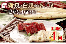 蒲焼き・白焼きを交互にお届け！国産うなぎ２尾【全４回定期便】 _ うなぎ 鰻 ウナギ 2尾 国産 高知県産 蒲焼き 白焼き かばやき 冷凍 うな重 ひつまぶし タレ ランキング 人気 4回 定期便 頒布会