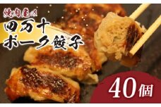 ヤマジュウの特選！四万十ポーク手作り餃子４０個