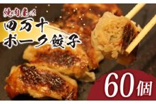 ヤマジュウの特選！四万十ポーク手作り餃子６０個