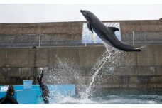 浅瀬ふれあい体験３名（中学生以上）