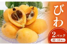 黒耳びわ 12～16玉 大粒 枇杷 ビワ フルーツ 果物 母の日 旬 果実 期間限定 初夏 季節 高知 贈答