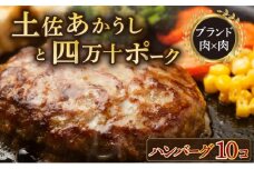 湯煎するだけ！土佐あかうしと四万十ポークのハンバーグ　１０個セット