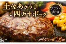 湯煎するだけ！土佐あかうしと四万十ポークのハンバーグ　１５個セット