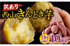 【令和７年９月お届け】西山きんとき芋 10kg | 訳あり 新芋 さつまいも サツマイモ さつま芋 焼き芋 やきいも ヤキイモ 人気 野菜 不揃い 規格外 おやつ デザート秋 旬 生芋 ご家庭用 10000円 高知県 室戸市