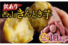 【令和７年１２月お届け】西山きんとき芋 10kg | 訳あり 新芋 さつまいも サツマイモ さつま芋 焼き芋 やきいも ヤキイモ 人気 野菜 不揃い 規格外 おやつ デザート秋 旬 生芋 ご家庭用 10000円 高知県 室戸市
