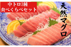 天然マグロ中トロ３種食べくらべセット（本マグロ、ミナミマグロ、メバチマグロ　中トロ各１柵）