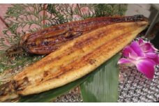 高知県産うなぎ蒲焼き、白醤油焼きセット