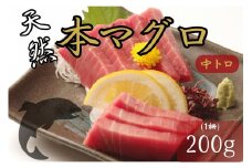 天然本マグロ　中トロ　１柵（２００ｇ）まぐろ 鮪 海鮮 冷凍 さしみ 刺身 父の日 高知 室戸 マグロ