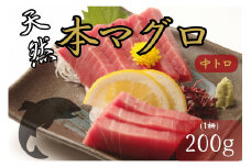天然本マグロ　中トロ　１柵（２００ｇ）まぐろ 鮪 海鮮 冷凍 さしみ 刺身 父の日 高知 室戸 マグロ