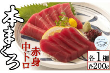 天然本マグロ　中トロ・赤身　各１柵　（計４００ｇ）まぐろ 鮪 海鮮 冷凍 さしみ 刺身 父の日 高知 室戸 マグロ