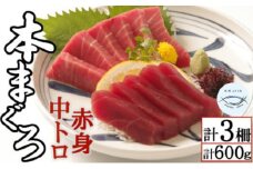 天然本マグロ　中トロ２柵　赤身１柵　（計６００ｇ）まぐろ 鮪 海鮮 冷凍 さしみ 刺身 父の日 高知 室戸 マグロ