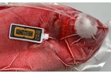 漁師直送　活き〆天然地金目鯛　【八金目】９００ｇ～１ｋｇ　１匹　≪冷凍≫