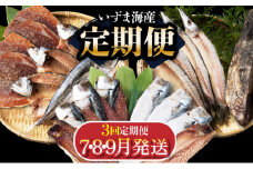 【３回定期便】干物定期便　夏お届けコース（７、８、９月お届け） 頒布会