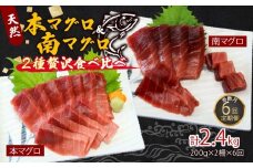 【６回定期便】天然本マグロ　天然南マグロ　中トロ　各1柵　奇数月にお届け 頒布会 鮪 海鮮 冷凍 さしみ 刺身 高知 室戸 マグロ まぐろ 寿司 高級
