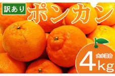 【ご家庭用】マルカズ農園の訳ありポンカン　４ｋｇ