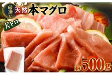 厳選天然本マグロ　大トロたっぷり５００ｇ【限定限定】父の日