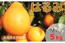室戸特産はるみ　Ｍサイズ　５kg入