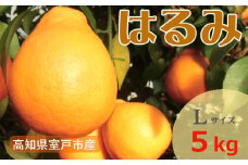 室戸特産はるみ　Ｌサイズ　５kg入