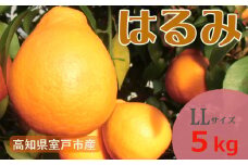 室戸特産はるみ　ＬＬサイズ　５kg入