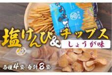 塩けんぴ＆さつまいもチップス（しょうが味）　計６６０ｇ　計８袋