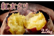 【先行予約】数量限定 掘りたて！あま〜い 新さつまいも 紅まさり 2.5kg 芋 さつま芋 野菜 サツマイモ 焼き芋 甘い スイートポテト 旬 やさい 家庭用