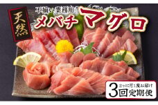 【 定期便 全３回 隔月 お届け 】天然メバチマグロ中トロセット５００ｇ _ ２カ月に１回　合計３回 メバチマグロ サク 柵 スライス 切り落とし 切落し 中トロ セット 天然 天然まぐろ 天然マグロ まぐろ 鮪 刺身 お刺身 食べ比べ 魚 さかな 新鮮 高知 室戸 冷凍 瞬間冷凍 小分け 便利 頒布会