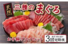 【３回定期便】３種のまぐろお手軽グルメセット６００ｇ _ ３か月連続 本マグロ ビンチョウマグロ メバチマグロ スライス 切り落とし 切落し 天然 鮪 刺身 刺し身 食べ比べ 魚 さかな 高知 室戸 冷凍 小分け 便利 頒布会