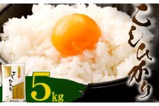 【令和５年産】室戸産新米コシヒカリ　５ｋｇ