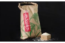 【６回定期便】【令和５年産】室戸産新米コシヒカリ　１０ｋｇ 頒布会