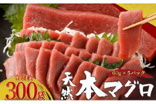 天然本まぐろ 赤身 切落し お手軽 ちょこっとパック 60g×5パック 合計300g 食べきりサイズ 切り落とし お刺身 魚介類 海鮮 小分け 魚 海産物 魚貝 マグロ 父の日 高知県 簡単解凍 簡単調理 惣菜 冷凍