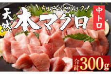 天然本 マグロ 中とろ 切落し お手軽 ちょこっとパック 60g×5パック 合計300g 食べきりサイズ 本マグロ 中とろ 切り落とし マグロ 鮪 海産物 魚 刺身 魚介類 海鮮 小分け 簡単解凍 調理 惣菜 訳あり 規格外 父の日 高知県 不揃い 中トロ 冷凍