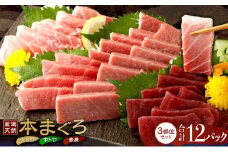 お刺身ちょこっとパック　食べ比べぼっちり１２パック _ 本マグロ 本鮪 まぐろ マグロ 鮪 訳あり 切り落とし 切り落し 人気 ランキング 真空 冷凍 海鮮 父の日 規格外 訳あり 小分け 赤身 中トロ 大トロ セット