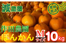 【正規品】作田農園直送！ポンカンＭサイズ１０ｋｇ