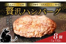 牛肉 高知 県 室戸市 産 土佐あかうし ハンバーグ ステーキ 100％ ホテルシェフ監修 150g×8個 幻 の 和牛 赤身 が 美味しい 冷凍 湯煎 調理 贈答 BBQ