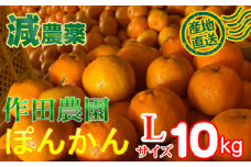 【正規品】作田農園直送！ポンカンＬサイズ１０ｋｇ