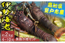 活き伊勢海老 4～10尾 2kg 伊勢海老 海老 魚介類 えび魚介 刺身 産地直送 新鮮 海鮮 高知県 室戸市
