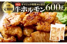 ヤマジュウの特製タレ漬け！国産牛ホルモン６００ｇ【６回定期便】 頒布会
