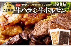 ヤマジュウの特選タレ漬け！牛ハラミ肉＆国産牛ホルモン計８００ｇ【６回定期便】 頒布会