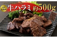 ヤマジュウの特製タレ漬け！牛ハラミ肉５００ｇ【６回定期便】 頒布会