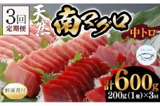 【３回定期便】天然南マグロ　中トロ　１柵　解凍書付 海鮮 魚介 鮪 惣菜 冷凍 ミナミマグロ 頒布会