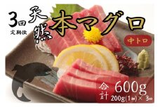 【３回定期便】天然本マグロ　中トロ　１柵　解凍書付 海鮮 魚介 鮪 惣菜 冷凍 クロマグロ まぐろ 頒布会