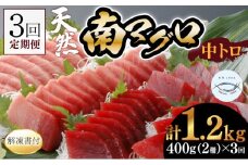 【３回定期便】天然南マグロ　中トロ　２柵　解凍書付 海鮮 魚介 鮪 惣菜 冷凍 ミナミマグロ 頒布会