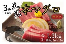 【３回定期便】天然本マグロ　中トロ　２柵　解凍書付 海鮮 魚介 鮪 惣菜 冷凍 クロマグロ まぐろ 頒布会