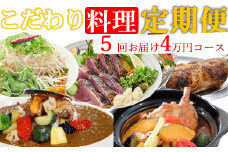 海土がお届けする定期便(５回発送)　4万円コース　かつおのたたき 鰹 カツオ カレー たんたん麺 小分け 担々麵 鶏肉 惣菜 冷凍 冷蔵 40000円 スープカレー ご自宅 頒布会