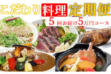 海土がお届けする定期便(５回発送)　5万円コース　かつおのたたき 鰹 カツオ カレー たんたん麺 小分け 担々麵 鶏肉 惣菜 冷凍 冷蔵 50000円 スープカレー ご自宅 頒布会