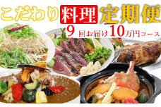 海土がお届けする定期便(９回発送)　10万円コース　かつおのたたき 鰹 カツオ カレー たんたん麺 小分け 担々麵 鶏肉 惣菜 冷凍 冷蔵 100000円 スープカレー ご自宅 頒布会